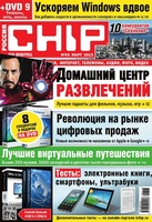 2013 03 chip