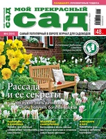 Mps04